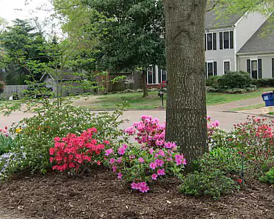 Landscape Services, West Tennessee, TN