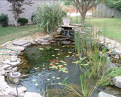 Water Features, Henderson, TN